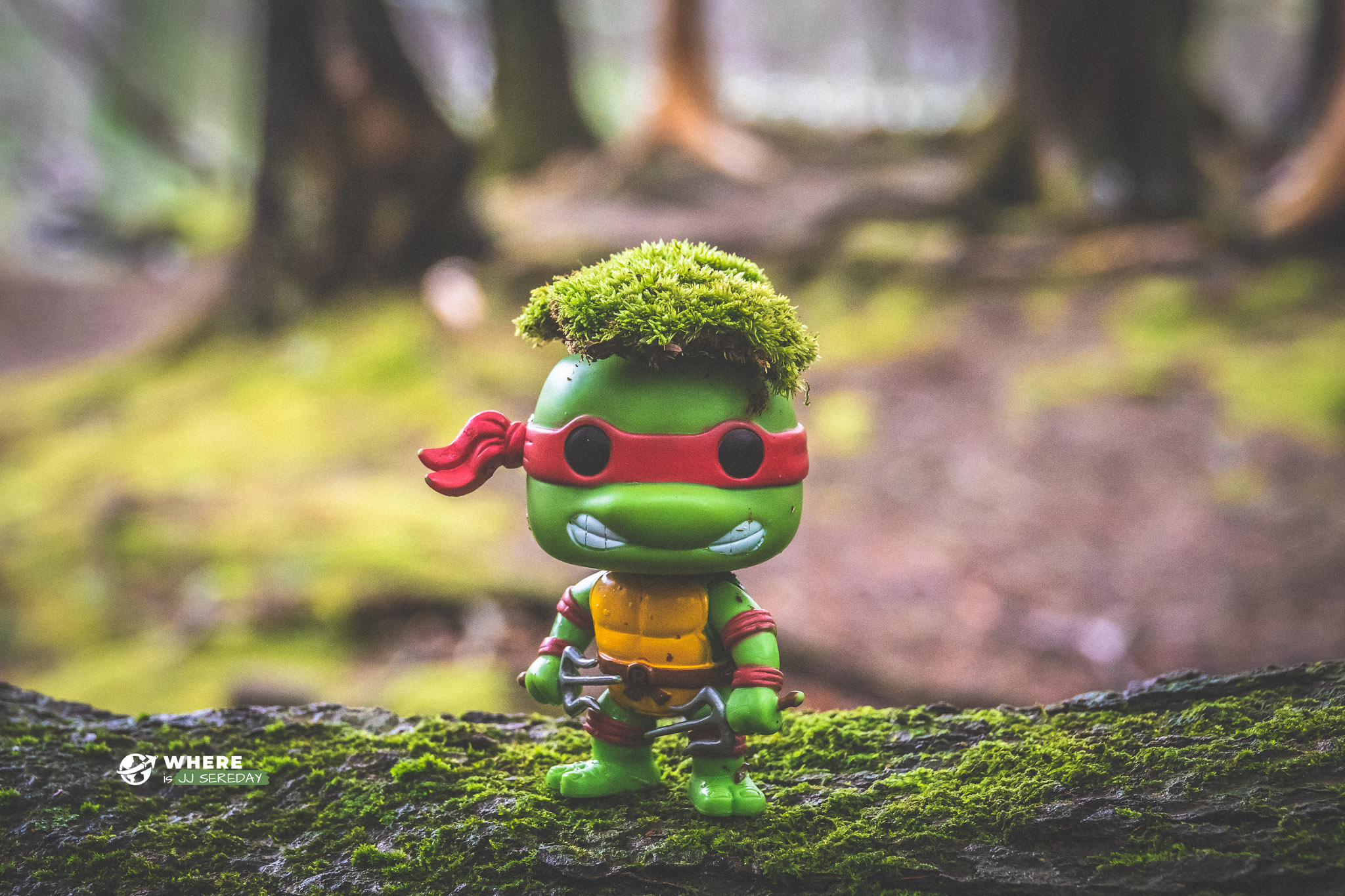 Lil Ninja Raph