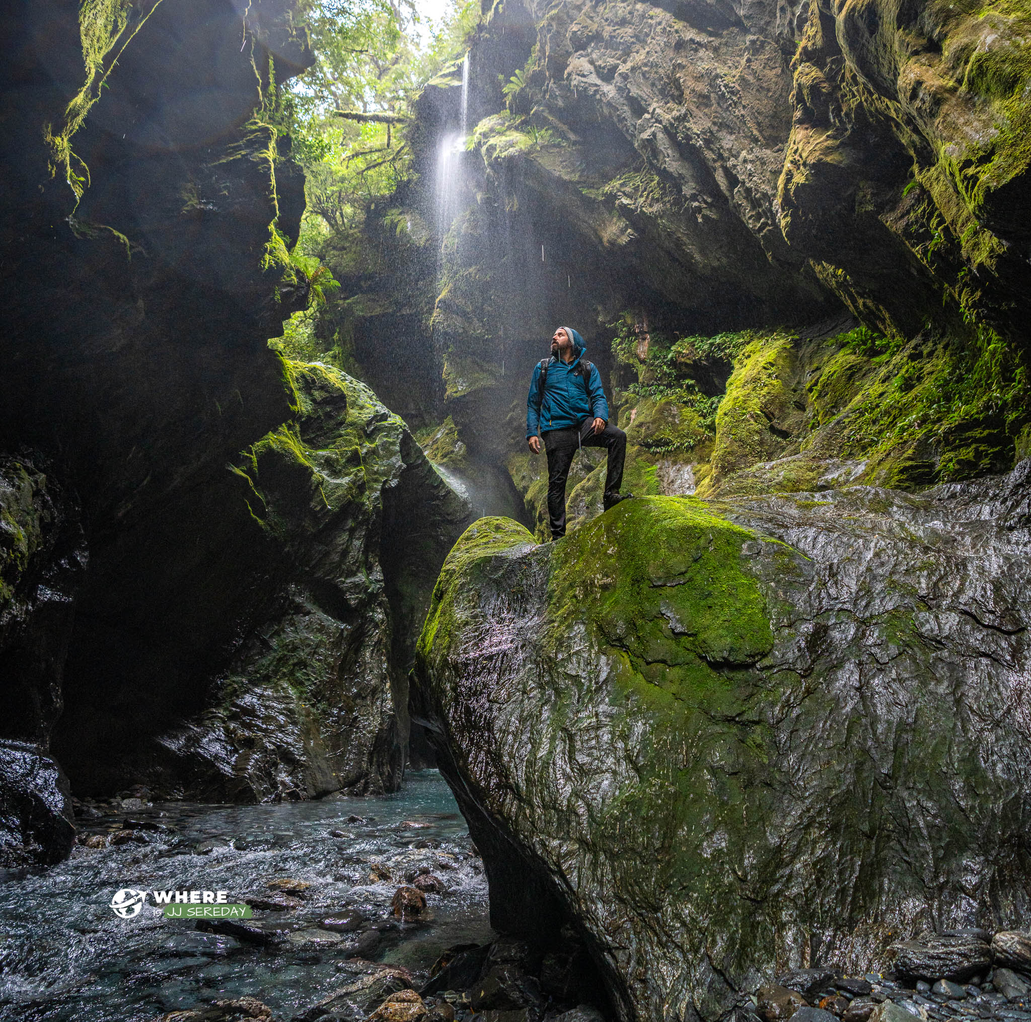 The Wild World of New Zealand